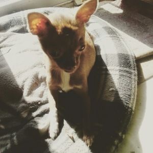 Meet your Posher, Caitlyn